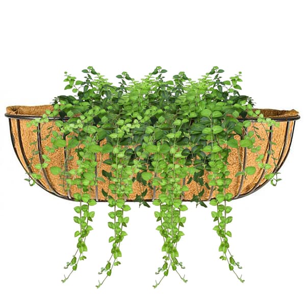 Kokosfiberkorg, kokosfoder för hängande korgar, väggmonterad blomkruka