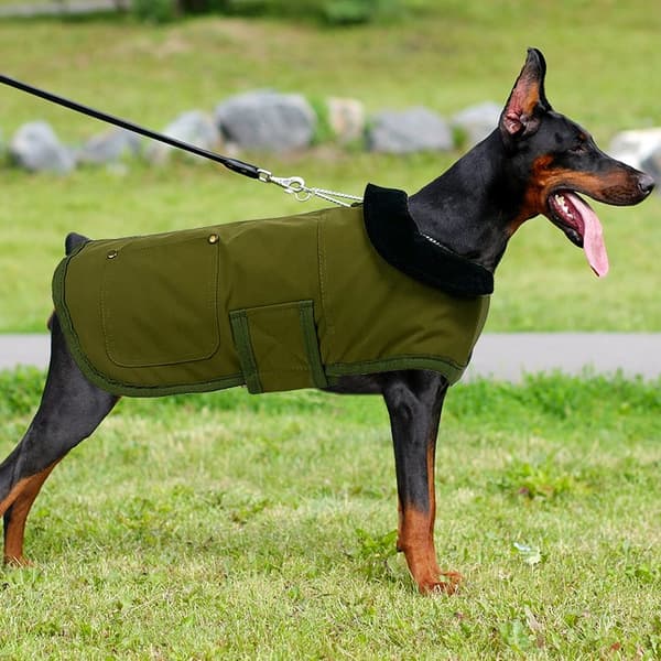 Hundvinterjacka, Vadderad Bomullsjacka, Slitstark Varm, Canvas, Svart, Storlek S