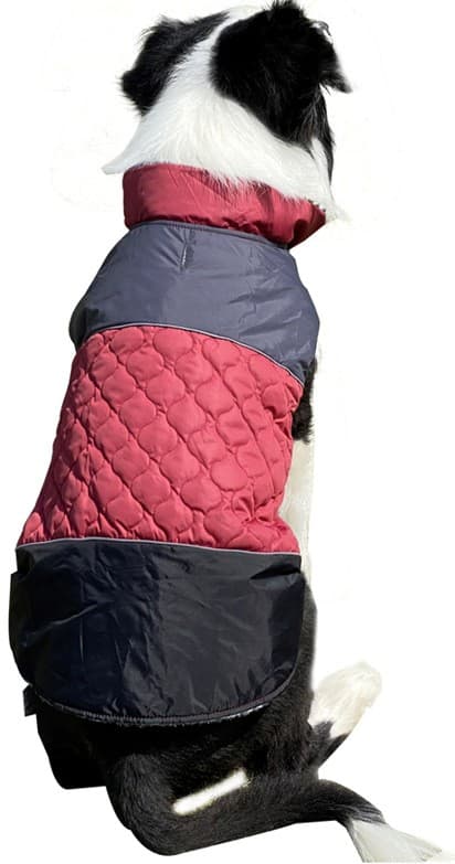 Vattentät Förtjockad Hundjacka, Vinterkläder för Husdjur, Polyester, Röd, XS-3XL