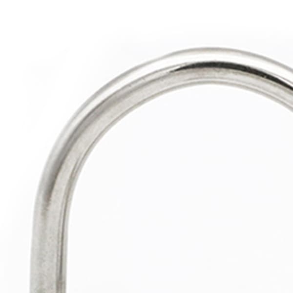Hestesko Spenner Maskinvare Tilbehør Erstatning Rustfritt Stål D-ringer for 2.5cmx2.2cm