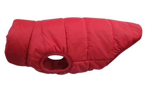 Förtjockad varm hundjacka, bomullsvadderad, höst vinter, röd, polyester