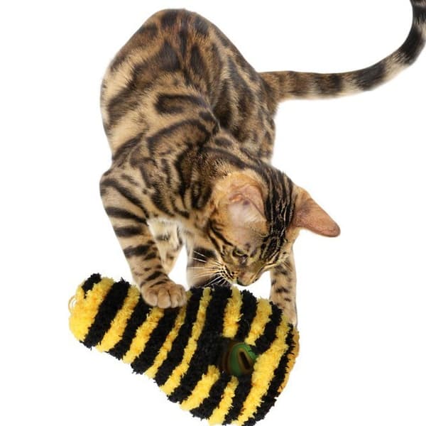 Kattträd hålrulle-leksak, wellpapp, kattmyntabjällra, trädmönster, interaktiv Tree pattern