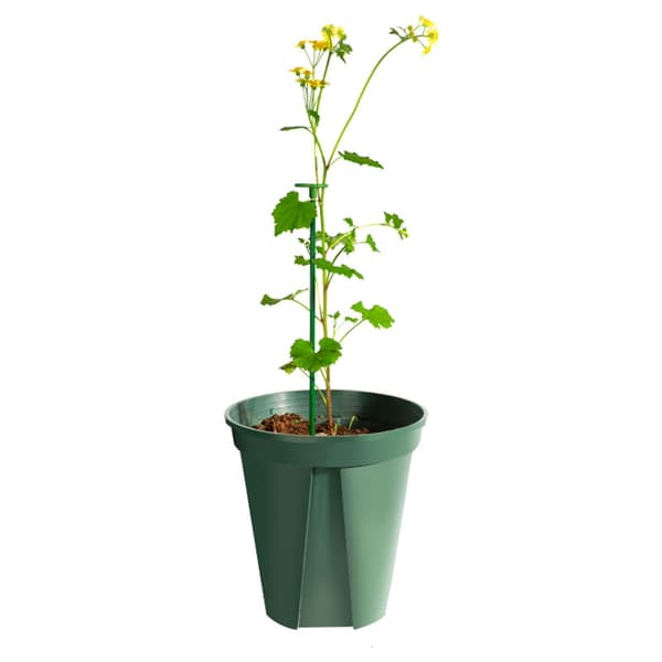 Växtstöd, Trädgårdsblomsterbur, Anti-fall Fixering, 10-pack