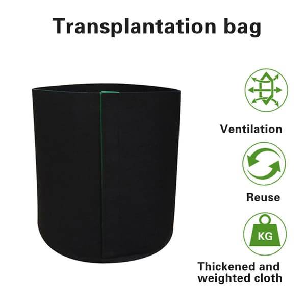 Transplanteringskorgset, 5-pack vakuumförseglat, 30x25x8cm, för trädgårdsarbete camel