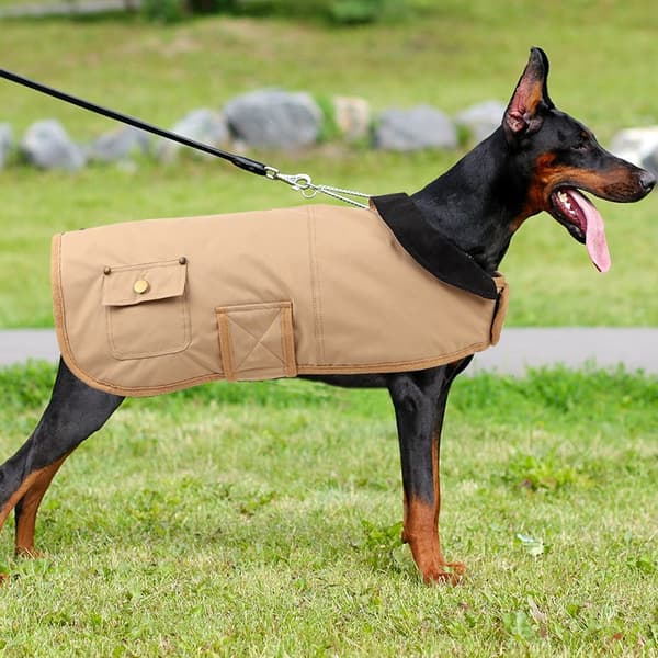 Hundvinterjacka, bomullsvadderad jacka, slitstark vindtät, khaki, S-4XL