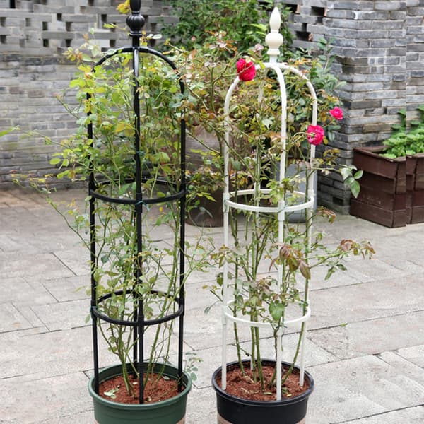 11 mm sort U-formet plantestøtte, rosetrellis, havevinstativ