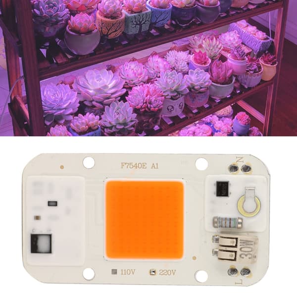 30W LED Chip Integrert Lampeperle, Høytrykksfri Drift, for Plantelys