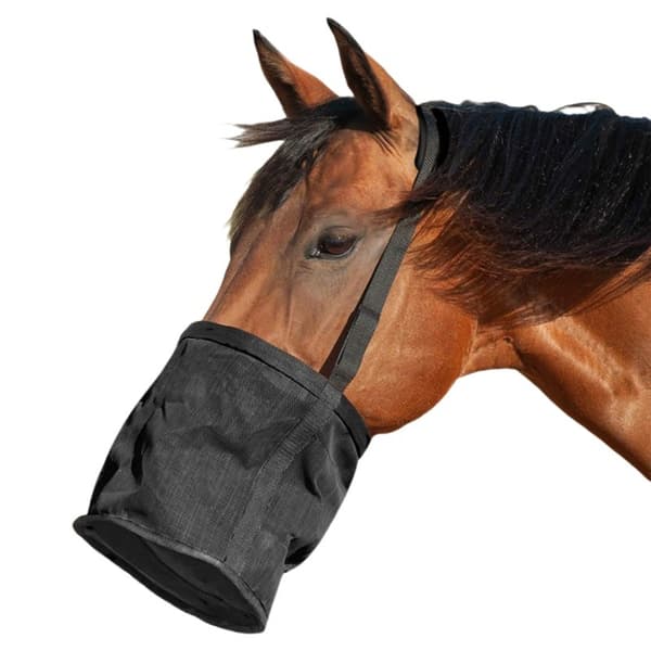 Justerbar hästfoderpåse med nackrem, svart, storlek L, nylon, minskar spill