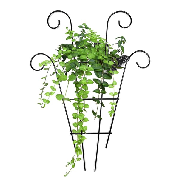 Espalier i rustfrit stål til klatreplanter, vinstøtte til udendørs brug