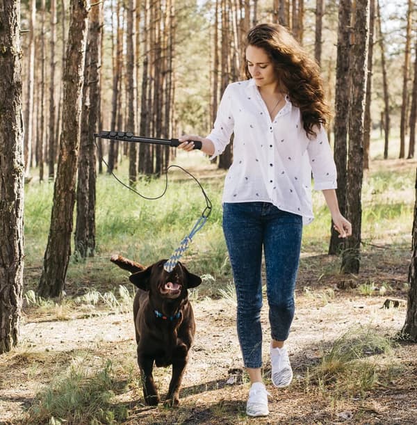 Infällbar hundleksak 124/150cm, interaktiv träningspinne för utomhuslek