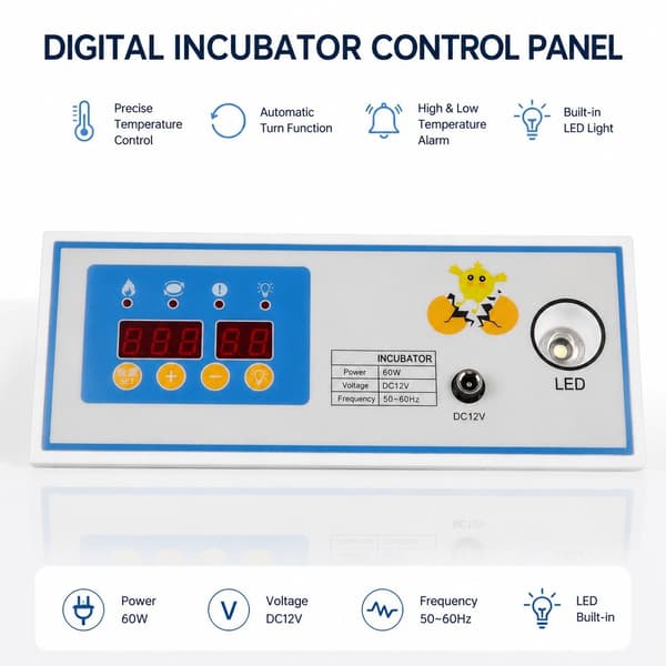 60W 12V Inkubator Termostat, Automatisk Temperaturregulator til Mini Inkubator Tilbehør