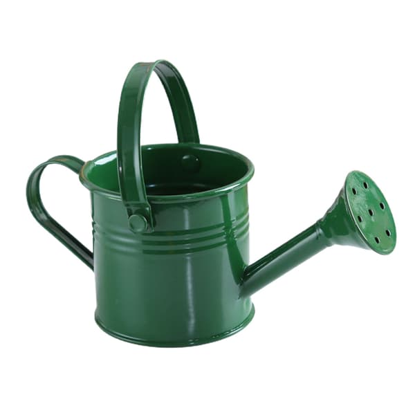 Mini vandkande, grøn, 160 ml, lille haveplantevander, bærbar
