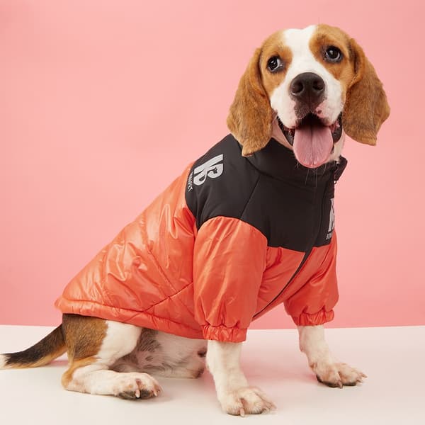 Reflekterende hundejakke, varm bomullsjakke for små og mellomstore hunder