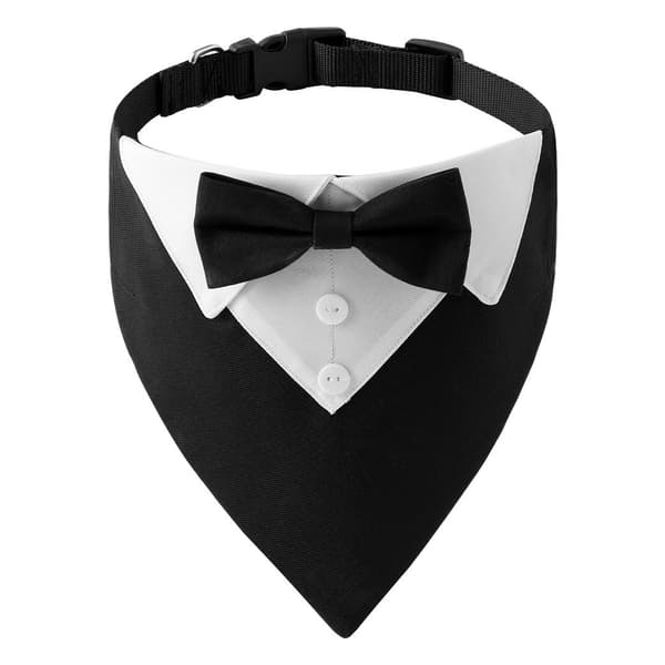Hundbröllopskostym i brittisk stil med halsband och triangulär bandana, polyester, röd blå svart rosa, S M L M-Black