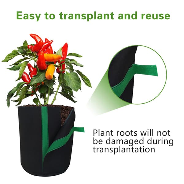 Transplanteringskorgset, 5-pack vakuumförseglat, 30x25x8cm, för trädgårdsarbete green