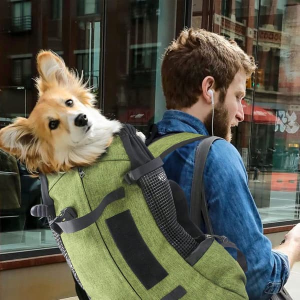 Hunde rygsæk til vandreture til kæledyr op til 5 kg Army green S