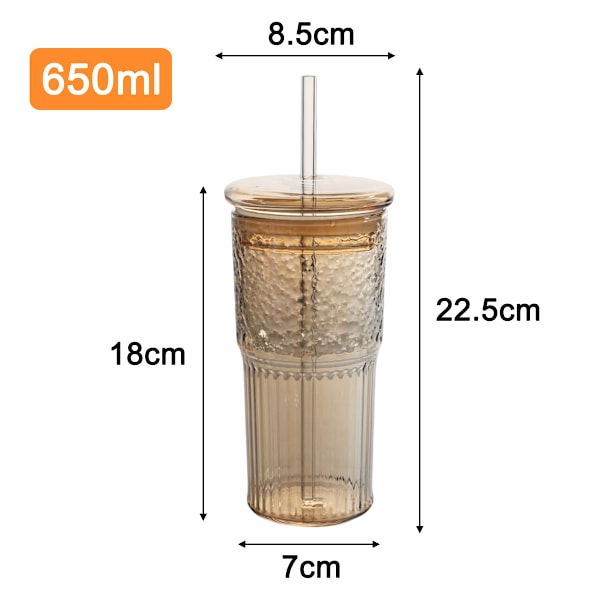 Glasmuggar med lock och glasstrån, 590 ml Hög Borosilikatglas Tumbler Iskaffe Vatten Smoothie Style 2