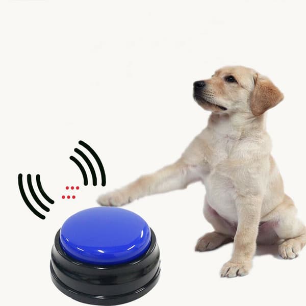 Talende knapper til hunde, optagelegetøj, hundetræning