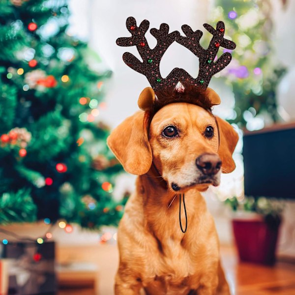 Julegevir, kæledyrshovedbånd, katte- og hundejulehatte, gevirklokker, kæledyrshovedbeklædning brown snowflakes