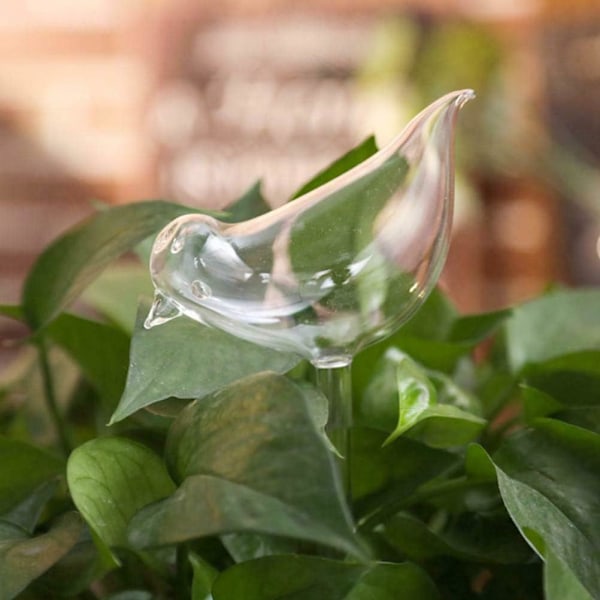 10-pak Selvvandende Glas, Transparente Fugleformede Kugler til Planter