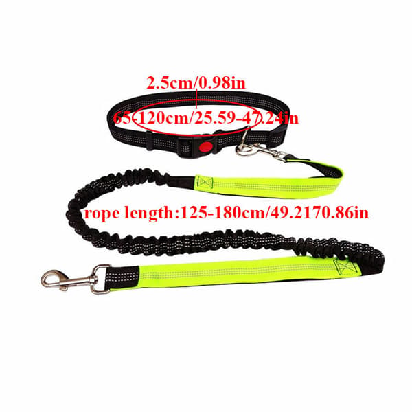Løbebælte Bungee Håndfri Kæledyr Hundesnor Jogging Line Stærk Klips Elastisk Jogging Green