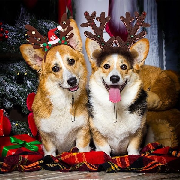 Julgranar, husdjurs pannband, katt- och hundjulhattar, hornklockor, husdjurs huvudbonader red and green snowflakes