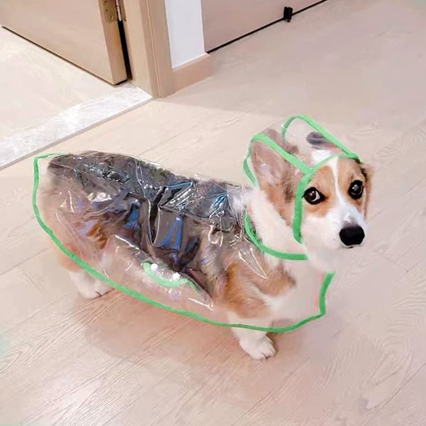 Regnjakke til en lille hund (M)