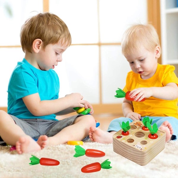 Puinen Montessori-lelu, porkkanalelu, puinen lajittelupeli