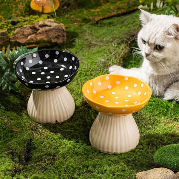 Svampeskål til kat, nakkebeskytter, hævede madskåle til kat, knurhårvenlig lav madskål til kat Red
