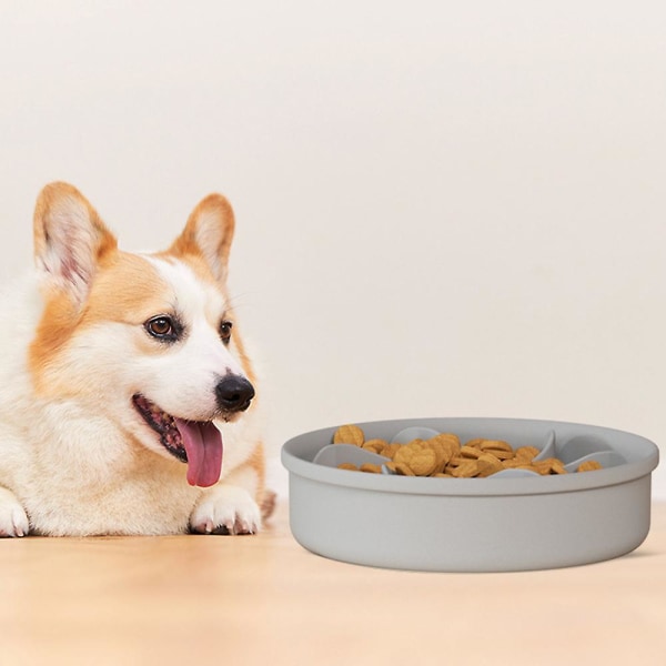 Förtjockad Silikon Pet Slow Food Bowl - Anti Choking Dog Bowl