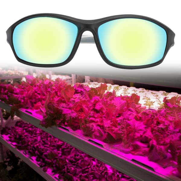 Profesjonelle LED-drivhusbriller UV-polariserte for drivhustelt Hydroponics Plant Light Øyesikkerhet
