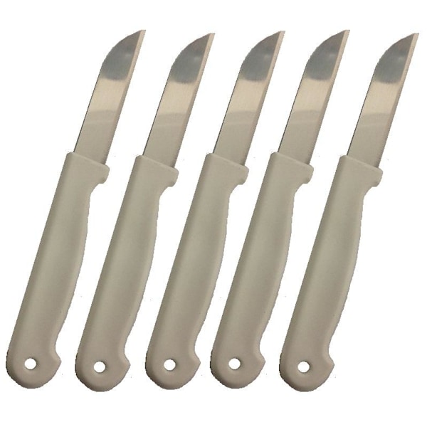 5 stk. Fruktkniver i rustfritt stål - Kniver White Vit