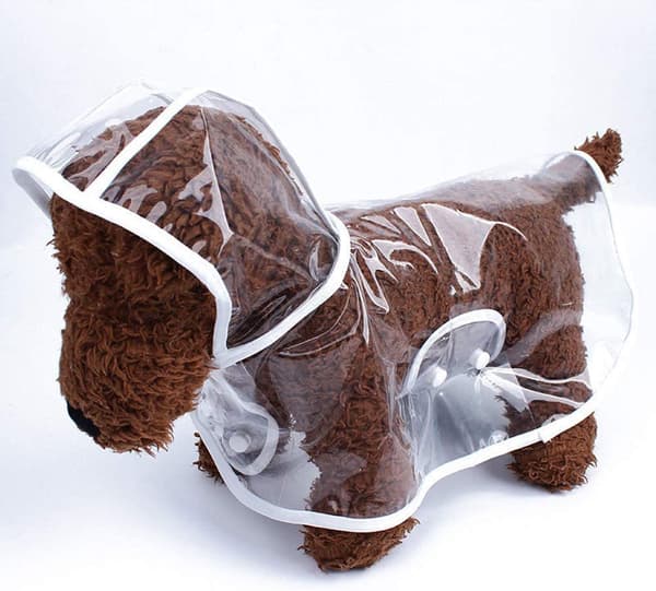 Regnjakke for en liten hund (M)