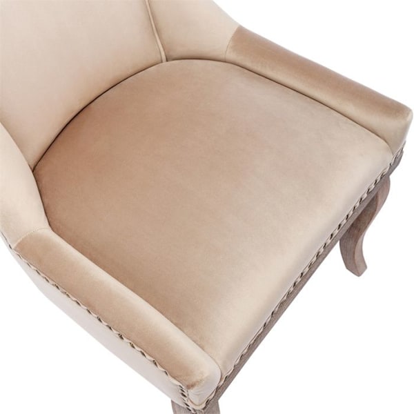 Set med 6 Matstolar - Beige Sammet Kökstol - Massivt Träben - Vardagsrum Stol - Dekorativa Nitar Beige