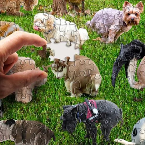 1000 biter Bæsjende Valper Puslespill Morsom Stresslindring for Hundelskere 101 Dog Poop Puzzle