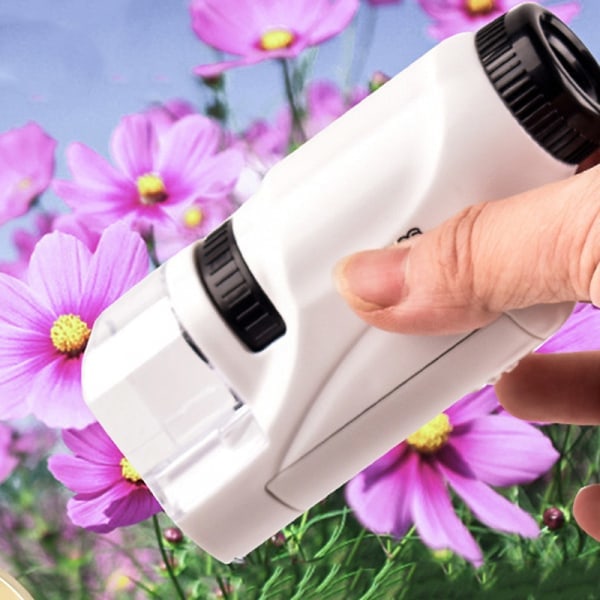 Handhållet Biologiskt Mikroskop LED-Ljus Förstoringsglas Skola white