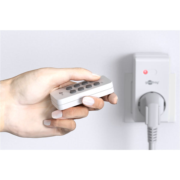 Remote switch - earthed socket Vit