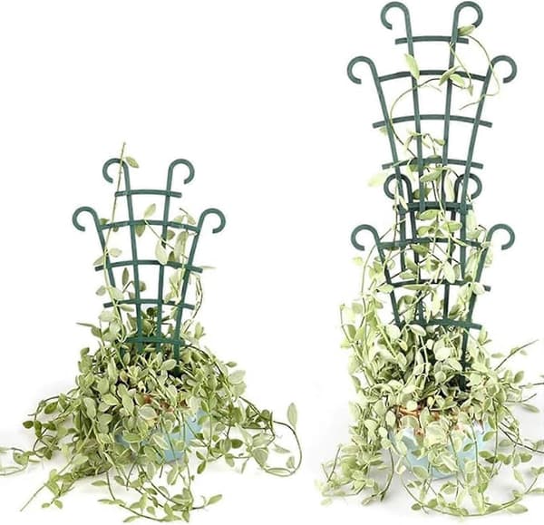 Espalier til klatreplanter, 6 stk. Udendørs klatreplantespalier, Klatring
