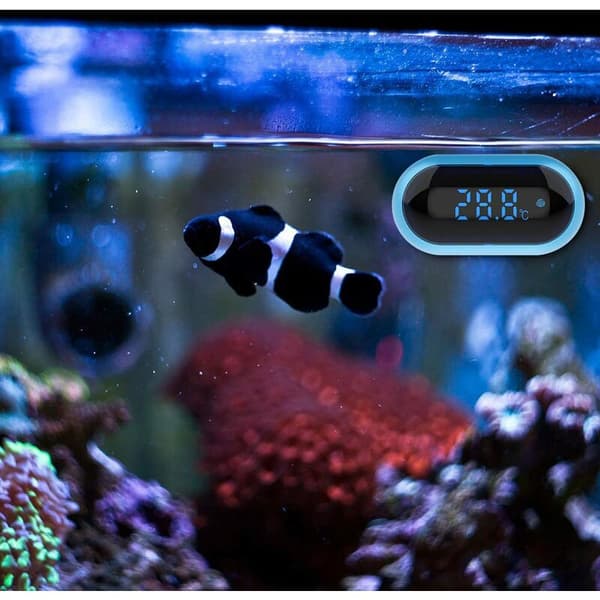 Akvarietermometer, Digital vandtermometer til akvarium, LED-displaytermometer til akvarium, terrarium og vivarium