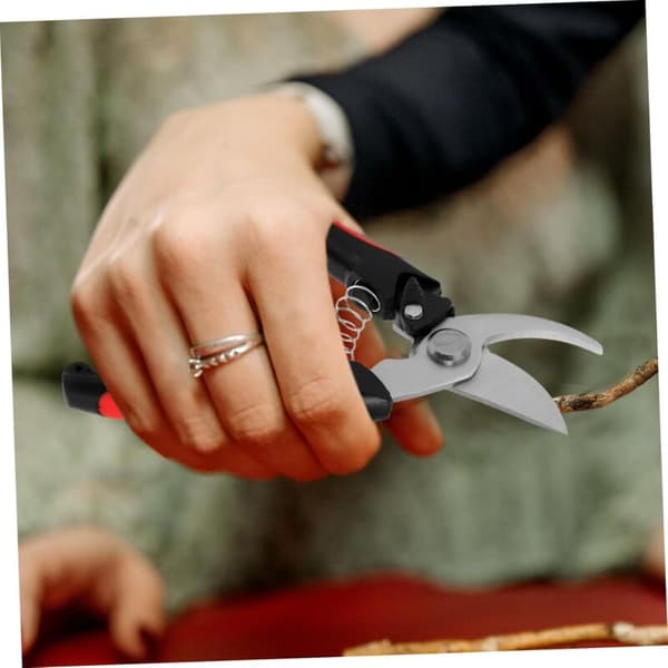 Stainless Steel Garden Pruning Shears for Fruit and Bonsai, Sharp Blades, Comfortable Hand Cutting Tool