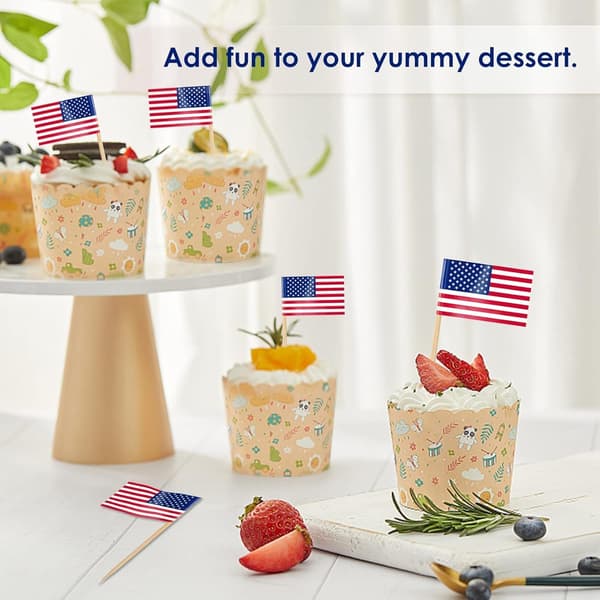 100 Pcs Toothpick Flags Cake Toppers, 48 Countries Cocktail Picks Flags for Sandwich Cupcake Decorations Bar Party