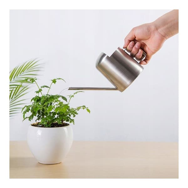 Vandkande i rustfrit stål, havekande, blomstervanding, vandkande, planter, kedel, 300 ml, sølv