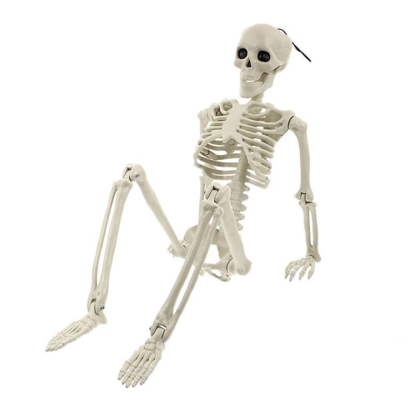 Hem Dekor Halloween Tillbehör Body Bones Modell Skelett Dekor Halloween Skelett PropWhite40X11CM White 40X11CM