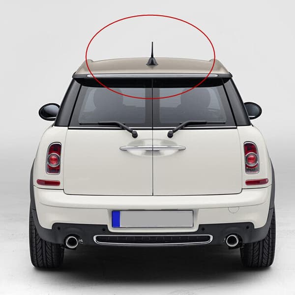 Car Antenna with M4 M5 M6 Threaded Adapter AM/FM Antennas Mast Roof