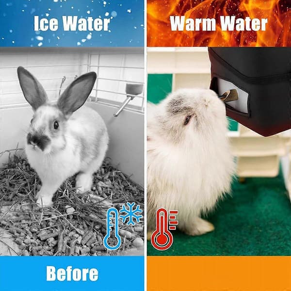 Heated Water Bottle, 32 Oz for Rabbits, Hamsters, Guinea Pigs