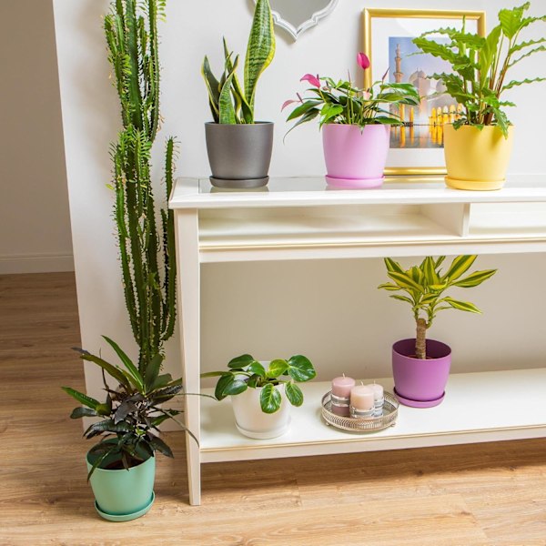 Vita havepynt, hvide potter med underskåle - Udendørs blomsterkrukker med mat overflade og bakke - Potter med underskåle, hvid White 20cm*17.5cm*14cm