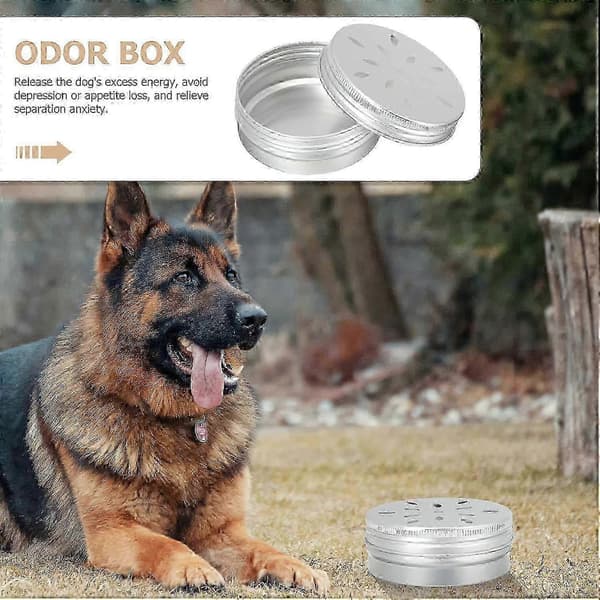 Dog Works, 10 Pcs Dog Scent Training Holders Dog Scent Training Cases Dogs Scent Training Tools Scent Training Cases