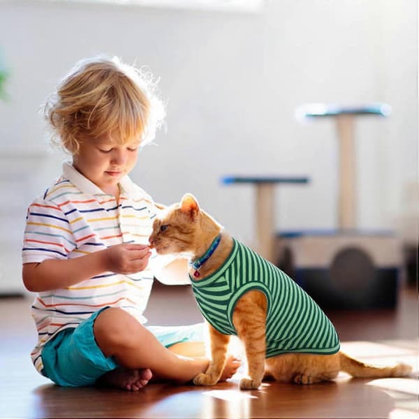 1 stk. Katte Tøj, Stribede Killinge T-shirts Uden Ærmer, Pullover Katte Trøjer, Sommer Tøj til Kæledyr til Små Hunde