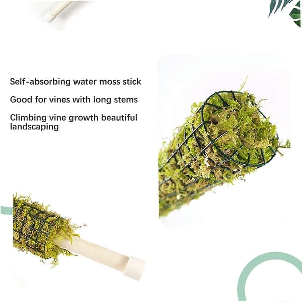 Bestseller - New 2-pack moss poles for climbing plants, natural forest moss poles for potted plants