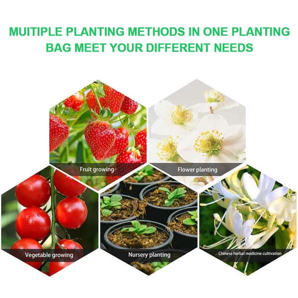 Hängande jordgubbsodlingspåsar för trädgård, 2-pack, 22 x 38 cm